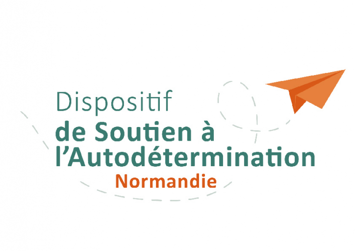 logo_dispositif_de_soutien_a_lautodetermination_plan_de_travail_1.jpg